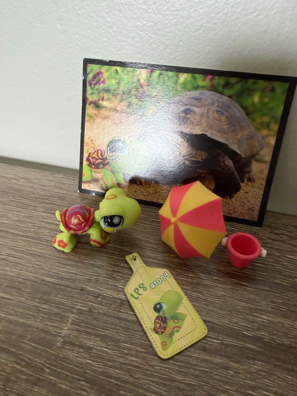 Littlest Pet Shop #1009 turtle